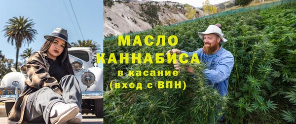 твердый Новодвинск