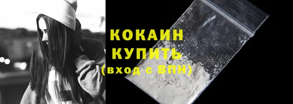 твердый Новодвинск