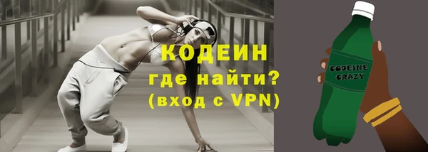 твердый Новодвинск