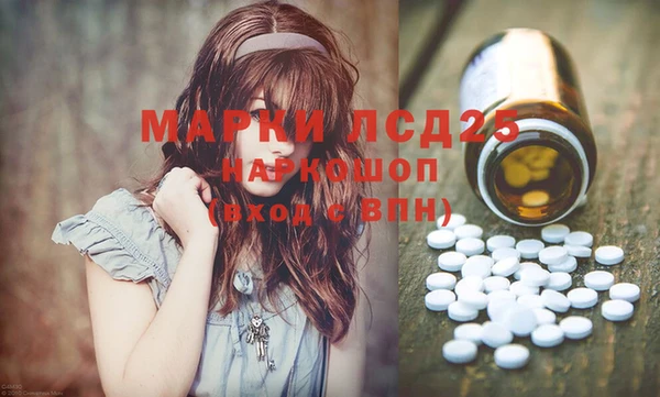 твердый Новодвинск