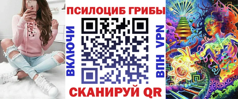 Галлюциногенные грибы Psilocybe  Лихославль 